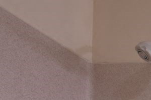 Photos and Video of Crestview West Apartments in Federal Way, WA